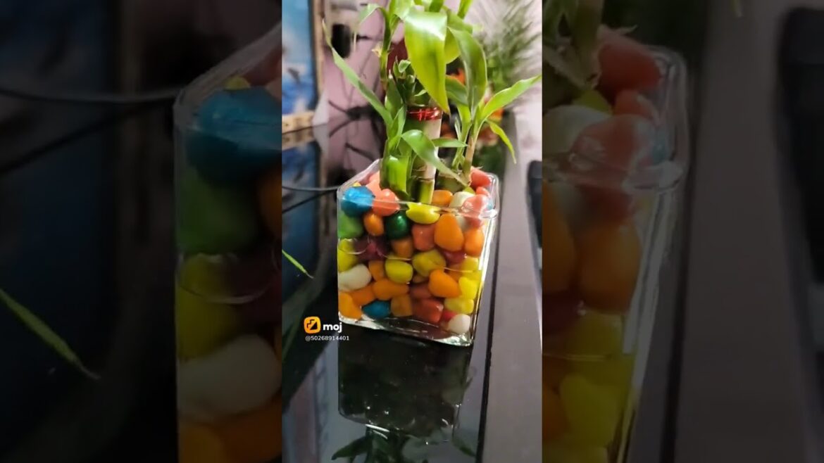 #homedecor #bombotree #arikapam #viral video #views #viralshort