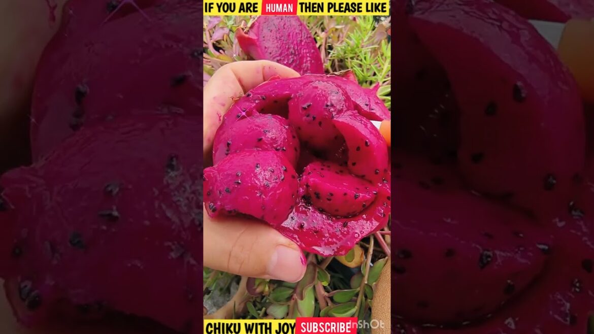 π Unbelievable Fruit Cutting Skills That Will WOW You! ππ”|#shorts #freshfruits #doremonfruits π Unbelievable Fruit Cutting Skills That Will WOW You! ππ"|#shorts #freshfruits #doremonfruits