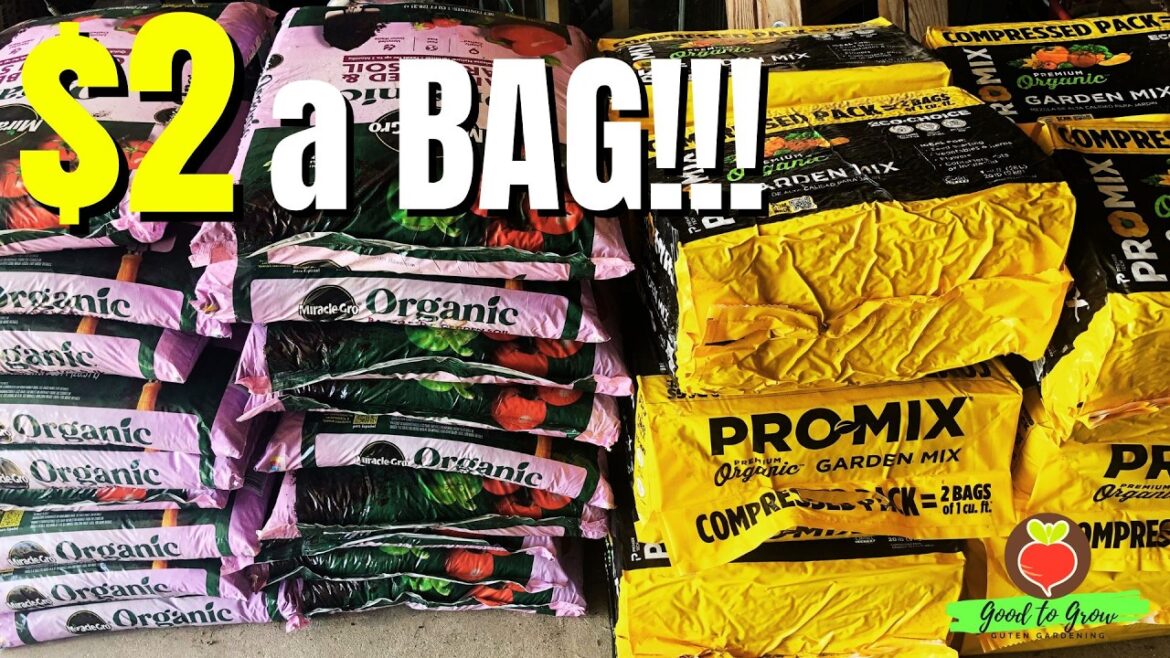 Think Black Friday for Garden Enthusiasts | Garden Tips Think Black Friday for Garden Enthusiasts | Garden Tips