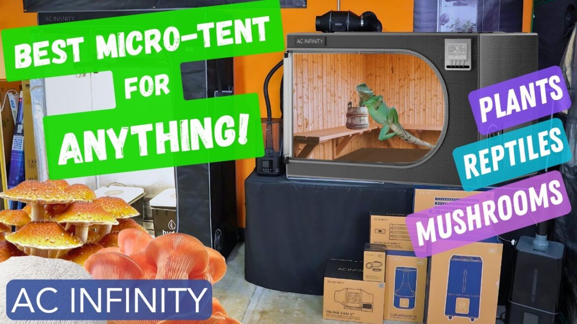 NEW AC INFINITY Propagation Tent Setup | Great for Mushrooms & More NEW AC INFINITY Propagation Tent Setup | Great for Mushrooms & More