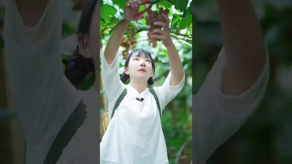 Enjoy beautiful Nature Harvesting fruits farming 😲🍓🥝🍉🥭🥭🌳🤓#fruitcutting #fruits #shorts