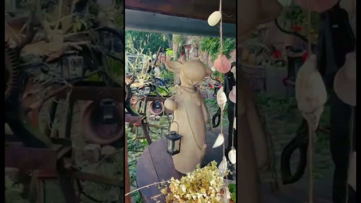 Gardening Ideas Part-1 | Garden Decoration  #garden #gardening #gardeningtips #gardendesign #nature