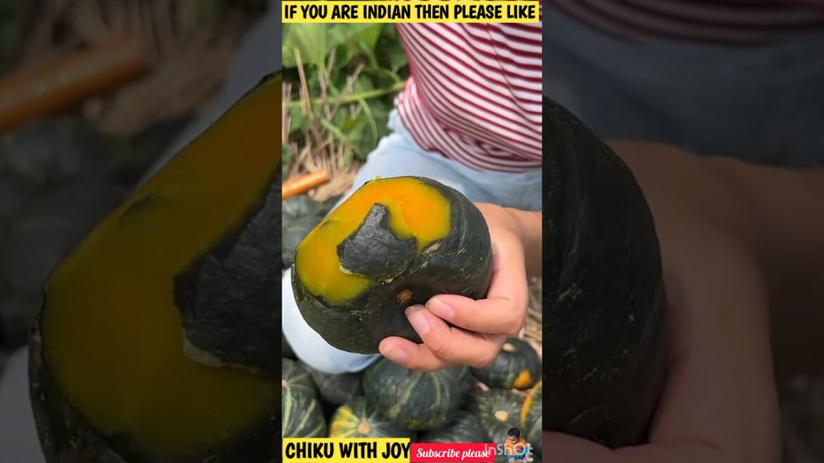 π Unbelievable Fruit Cutting Skills That Will WOW You! ππ”|#shorts #freshfruits #doremonfruits π Unbelievable Fruit Cutting Skills That Will WOW You! ππ"|#shorts #freshfruits #doremonfruits