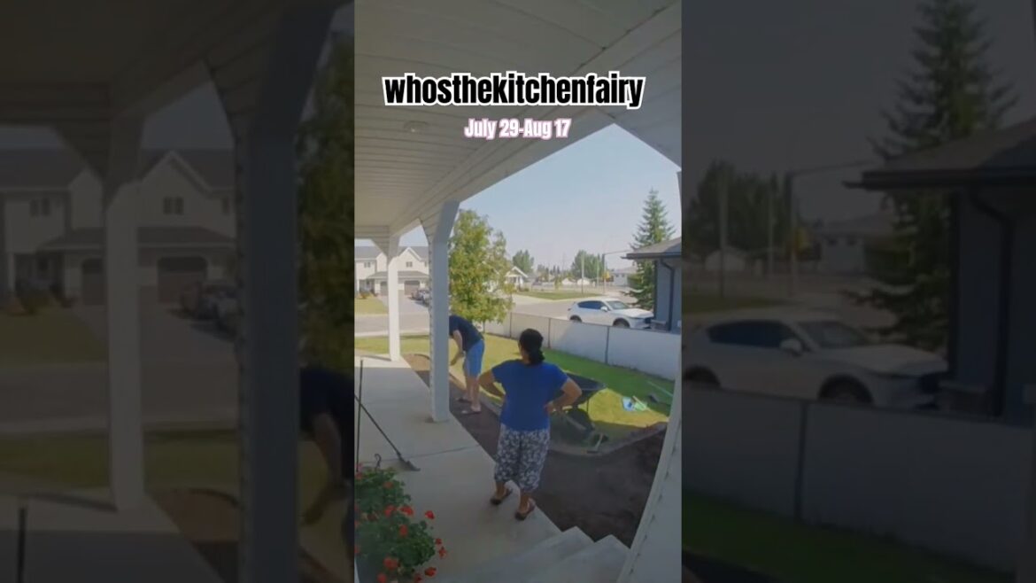 turning front yard into sunken garden time-lapse #shorts #garden #gardening #timelapse #family