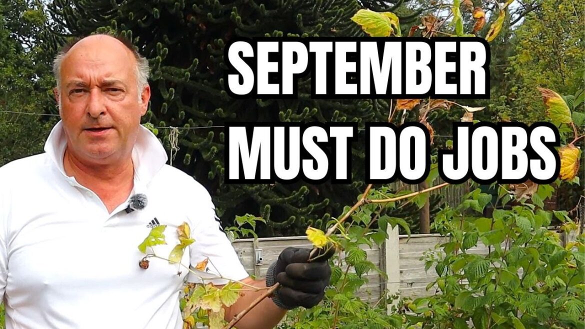 Jobs You Must Do in September || September Garden Work || My Top Tips