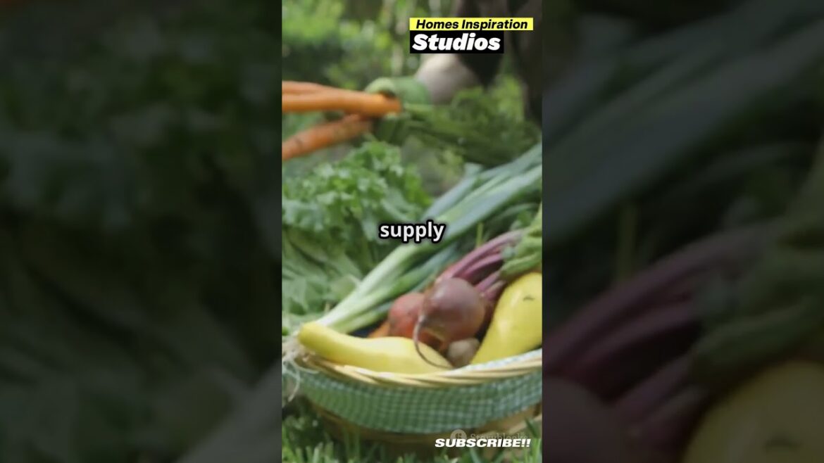 5 Mind-Blowing Edible Plants You Can Grow in Your Backyard Garden #ediblegardening #garden #ytshorts 5 Mind-Blowing Edible Plants You Can Grow in Your Backyard Garden #ediblegardening #garden #ytshorts