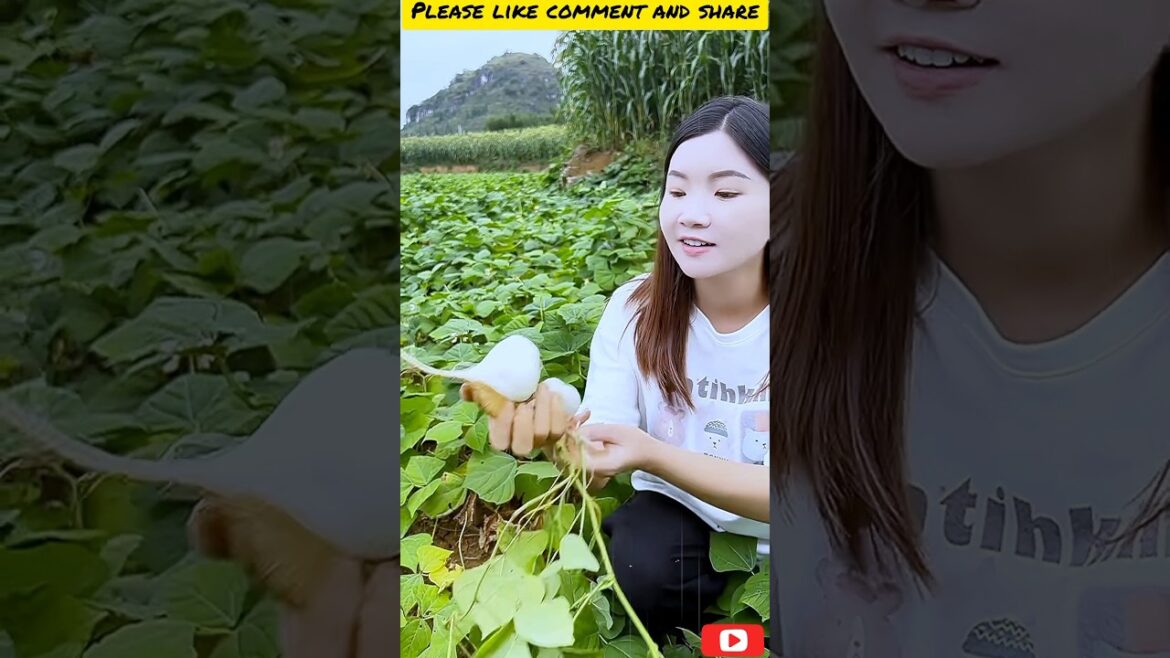 🍋🍏 The Ultimate Cutting Showdown S25 🍌🍇 |#shorts #shortsfeed #hmoodtsabchannel