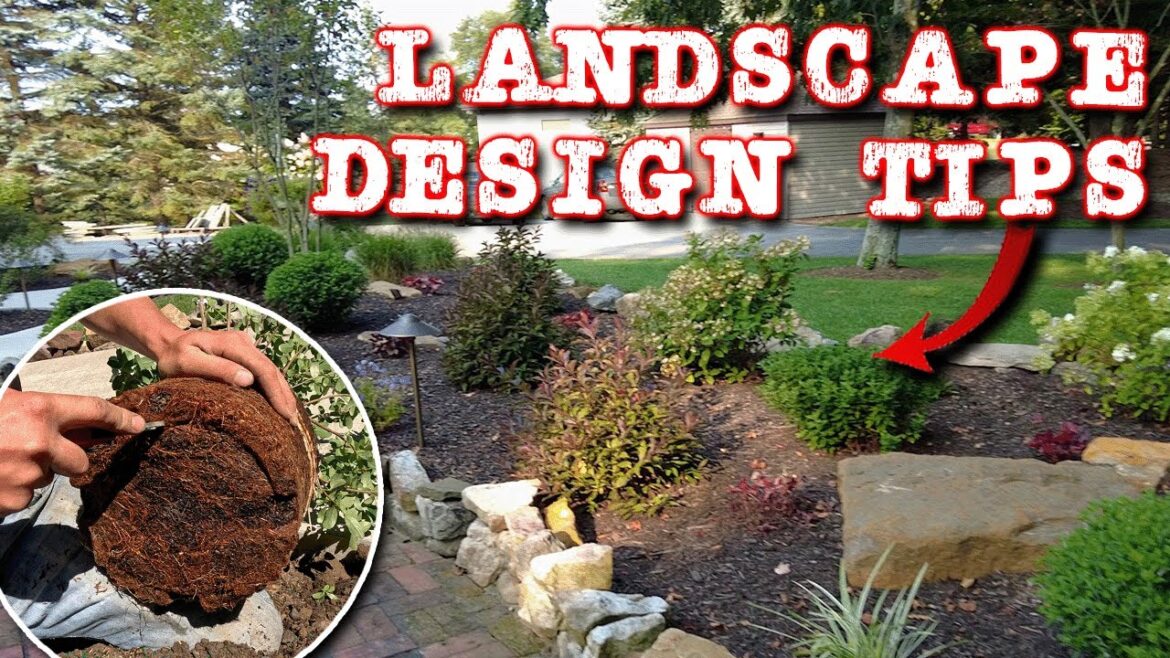 Landscaping Design 101 | Planting & Lighting Tips Landscaping Design 101 | Planting & Lighting Tips