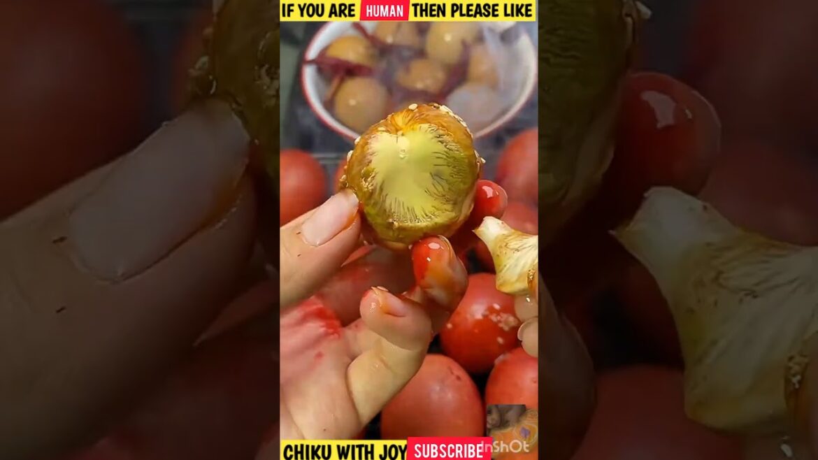 π Unbelievable Fruit Cutting Skills That Will WOW You! ππ”|#shorts #freshfruits #doremonfruits π Unbelievable Fruit Cutting Skills That Will WOW You! ππ"|#shorts #freshfruits #doremonfruits