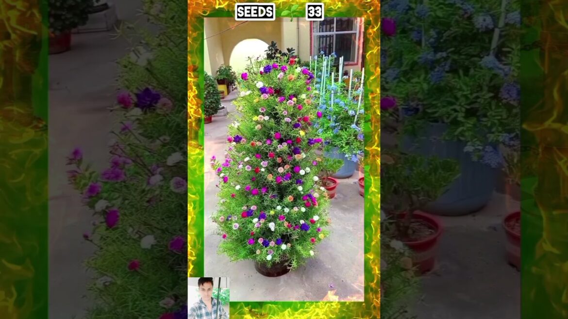 Flower home gardening ideas and trips #short #flower #bottlegarden #homegarding #seedsplants33