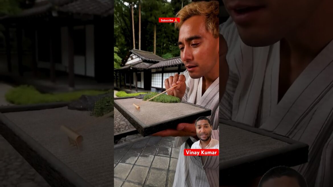 #shorts He BROKE the #1 RULE of Zen Gardens Vinay #art #handmade #buzz #funny #travel #comedyskit
