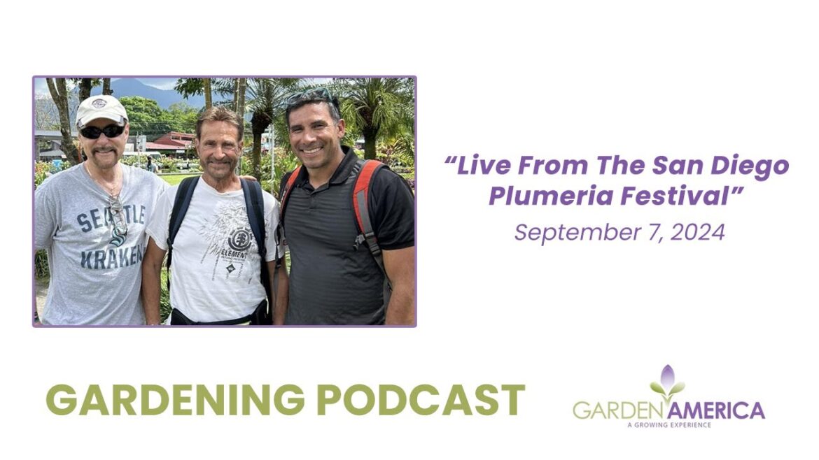 Live From The San Diego Plumeria Festival  - Garden America Podcasts & Radio Show [9.7.24]