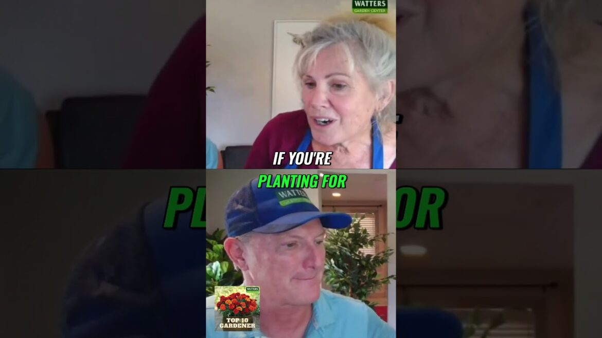 Planting for Fall Color Planting for Fall Color