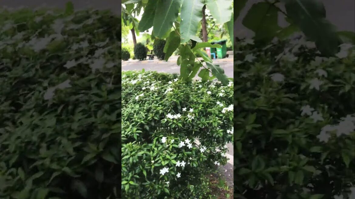 This is the scenery in the pagoda