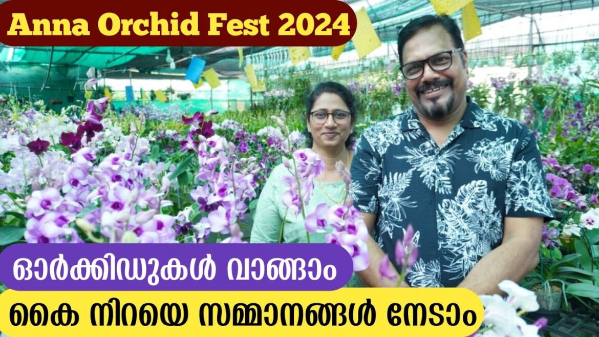 3 കിടിലൻ ഓഫറുകളുമായി അന്ന ഓർക്കിഡ് ഫെസ്റ്റ് 2024 | Orchid Care In Malayalam | Home Garden Tour 3 കിടിലൻ ഓഫറുകളുമായി അന്ന ഓർക്കിഡ് ഫെസ്റ്റ് 2024 | Orchid Care In Malayalam | Home Garden Tour