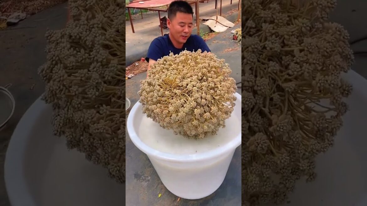 In Bloom: 2024’s Hottest Garden Trends 🌸 See What’s New!