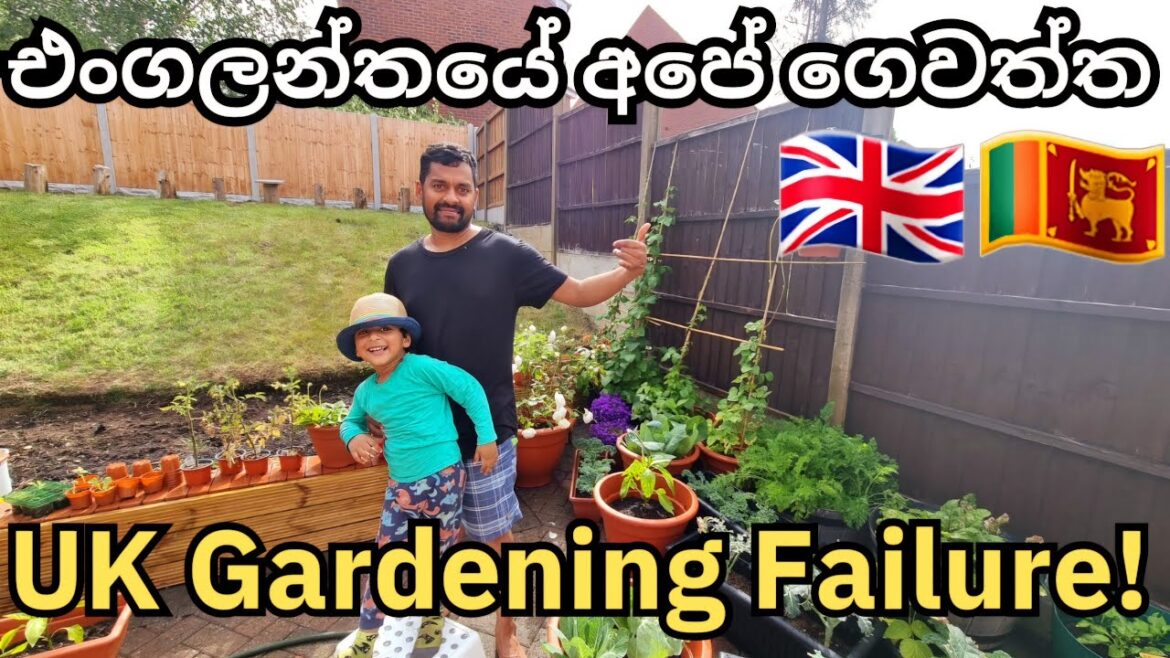 Our Biggest Garden Failure😭 | Gardening Tips & Tricks | Life In UK | UK Sinhala Vlog | Lankans In UK
