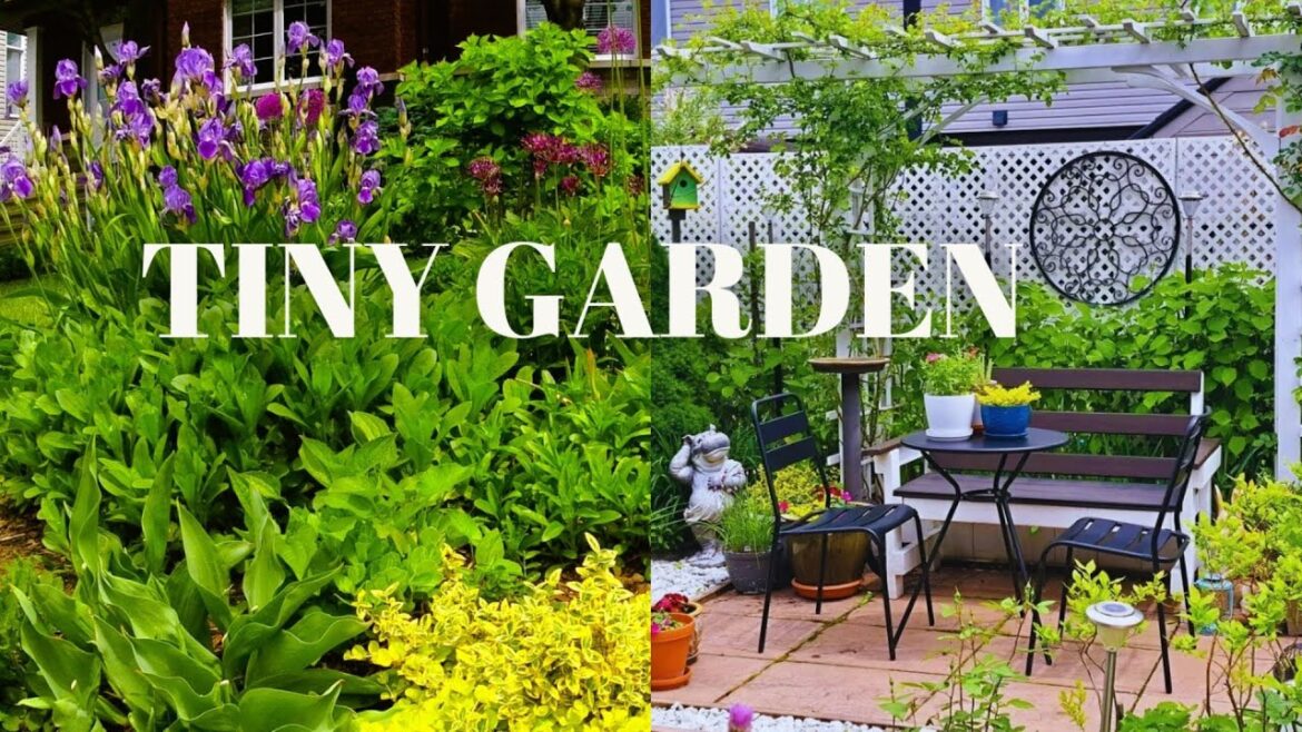 TINY GARDEN | Our Backyard and Front yard Inspiration #garden #gardening #plants #flowers  #new