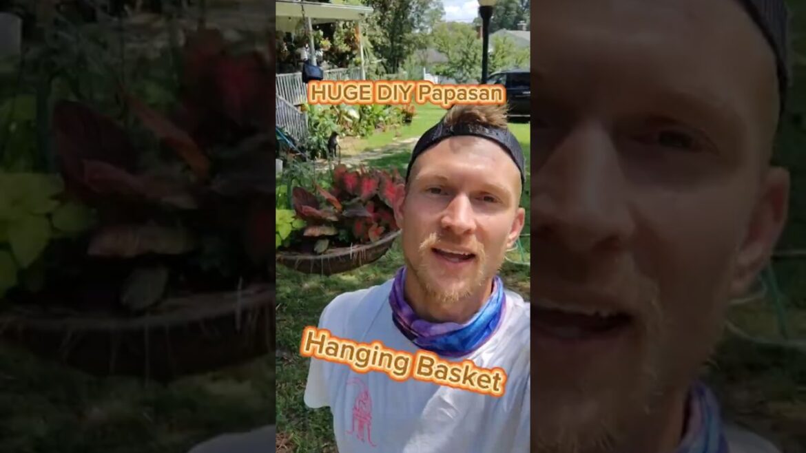 HUGE Papasan hanging basket DIY #budgetgardening #diygardening #pottedgarden #gardeningideas