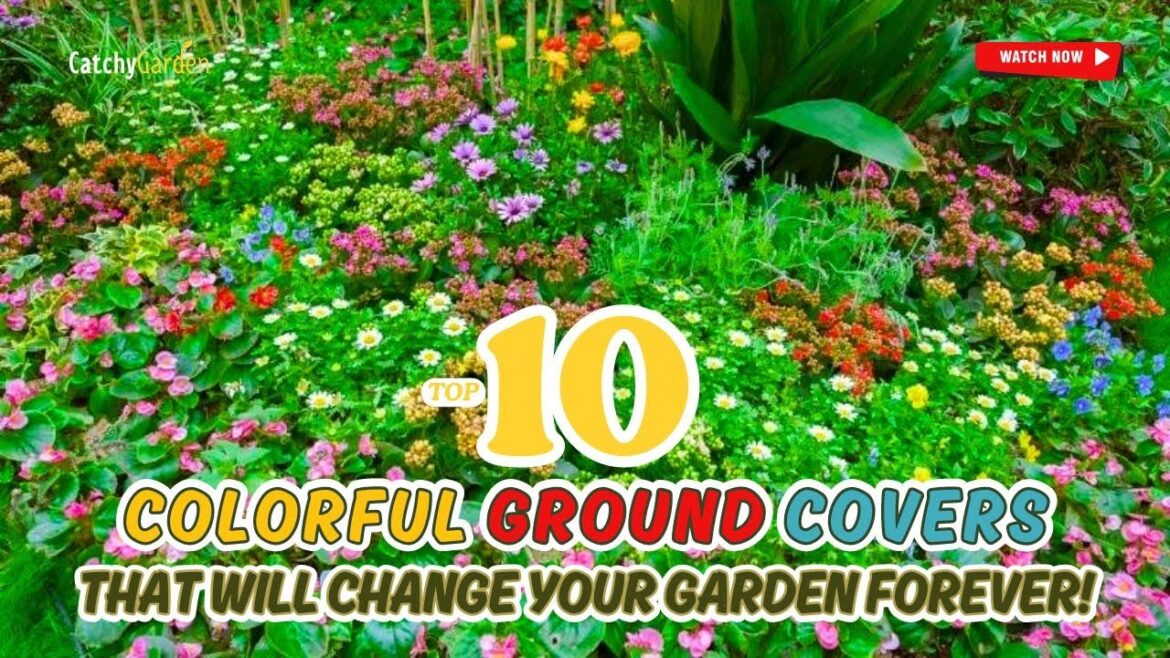 TOP 10 COLORFUL GROUND COVERS That Will CHANGE Your Garden FOREVER! 🌸🌼🌻 // Gardening Ideas