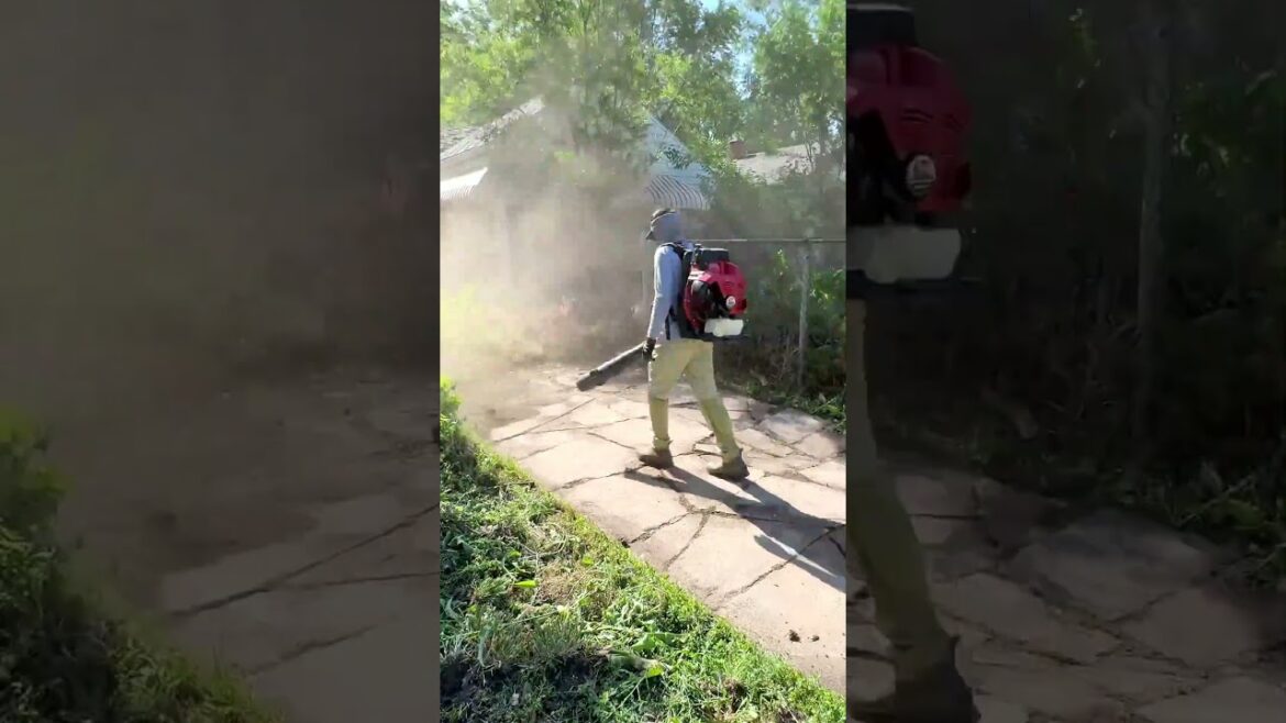 Masterful Grass Cleaning on the Main Pathway
