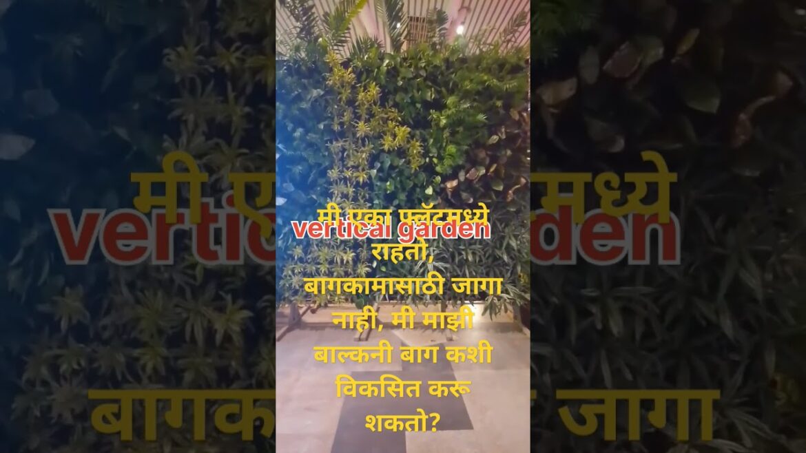 मी एका फ्लॅटमध्ये राहतो, बागकामासाठी जागा नाही, मी माझी बाल्कनी बाग कशी विकसित करू शकतो?#gardening मी एका फ्लॅटमध्ये राहतो, बागकामासाठी जागा नाही, मी माझी बाल्कनी बाग कशी विकसित करू शकतो?#gardening