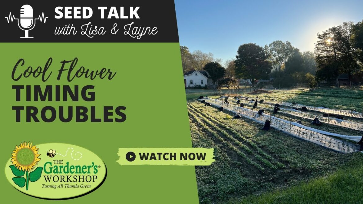 #105 - Cool Flower Timing Troubles