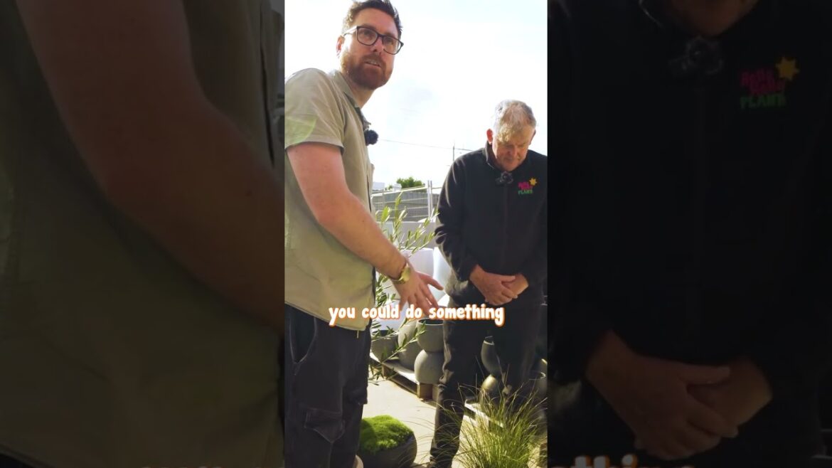 How to Design Your Garden Using Pots