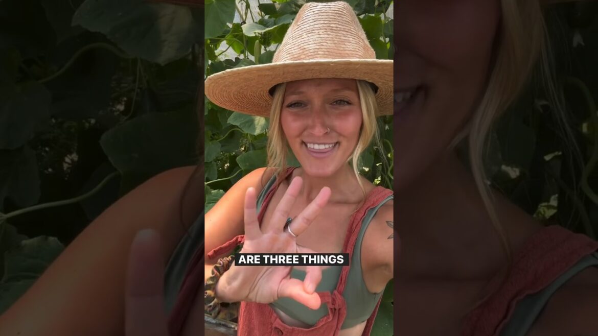 3 Helpful Tips For Maximizing Your Garden Space! 3 Helpful Tips For Maximizing Your Garden Space!