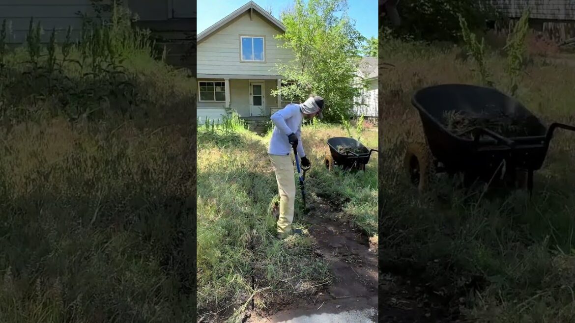 Perfectly Grooming a Beautiful Pathway