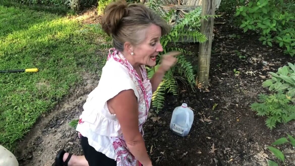 Favorite gardening tools and essentials. Favorite gardening tools and essentials.