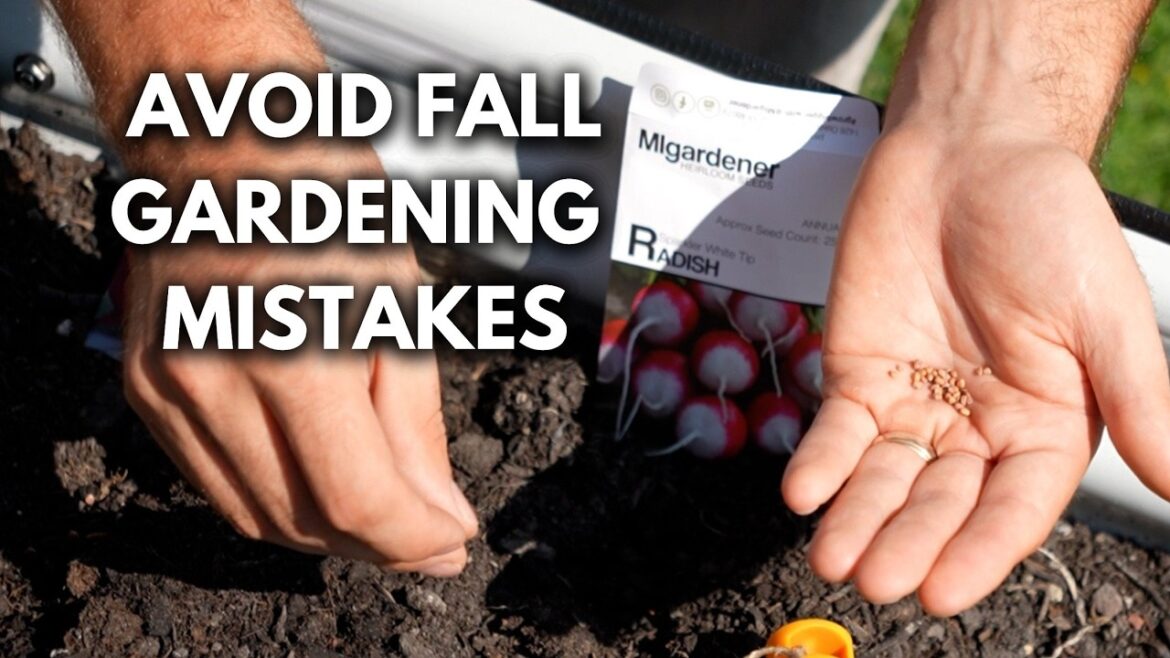 MIgardener: These Fall Gardening Mistakes Will Cost You! These Fall Gardening Mistakes Will Cost You!
