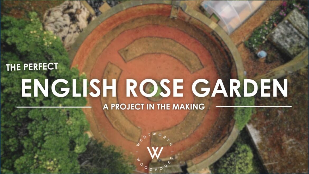 The Perfect English Rose Garden | #wentworthwoodhouse | The Perfect English Rose Garden | #wentworthwoodhouse |