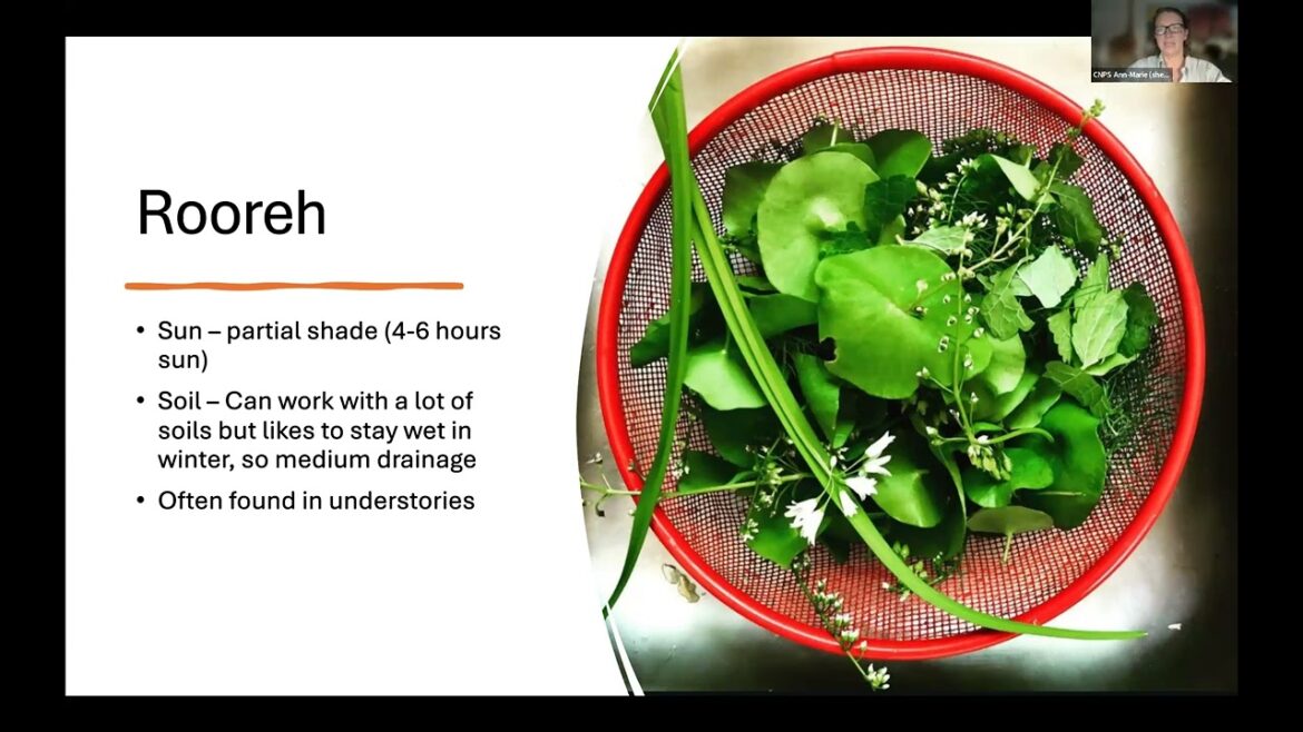 Native Plant Gardening 101 | Feast on Native Plants: Edible California Plants for Your Garden Native Plant Gardening 101 | Feast on Native Plants: Edible California Plants for Your Garden
