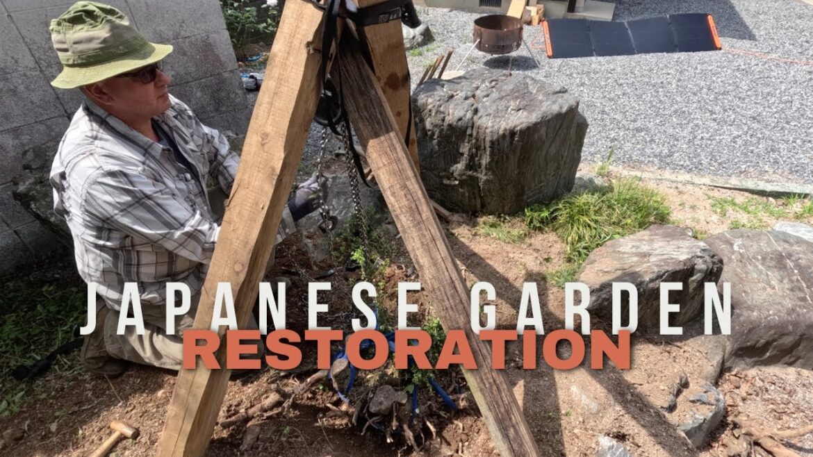 TIme to Restore The Japanese Garden | How to Remove a Tree Stump TIme to Restore The Japanese Garden | How to Remove a Tree Stump