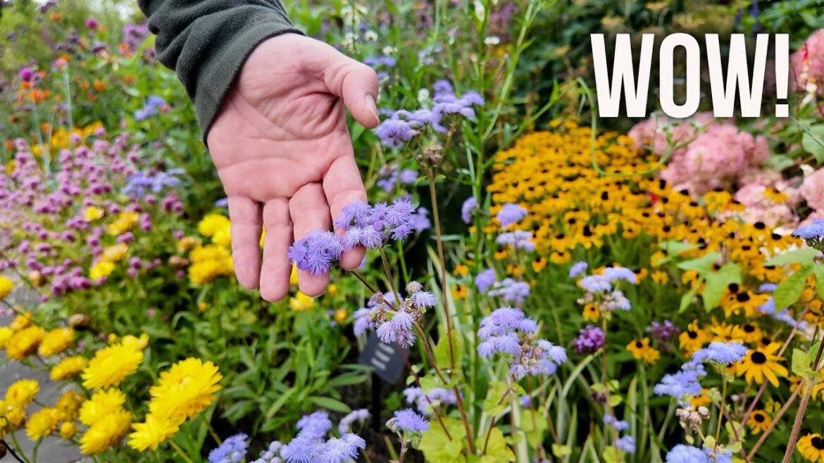 Exciting Tour at White Flower Farm! 🌻👩‍🌾🏡