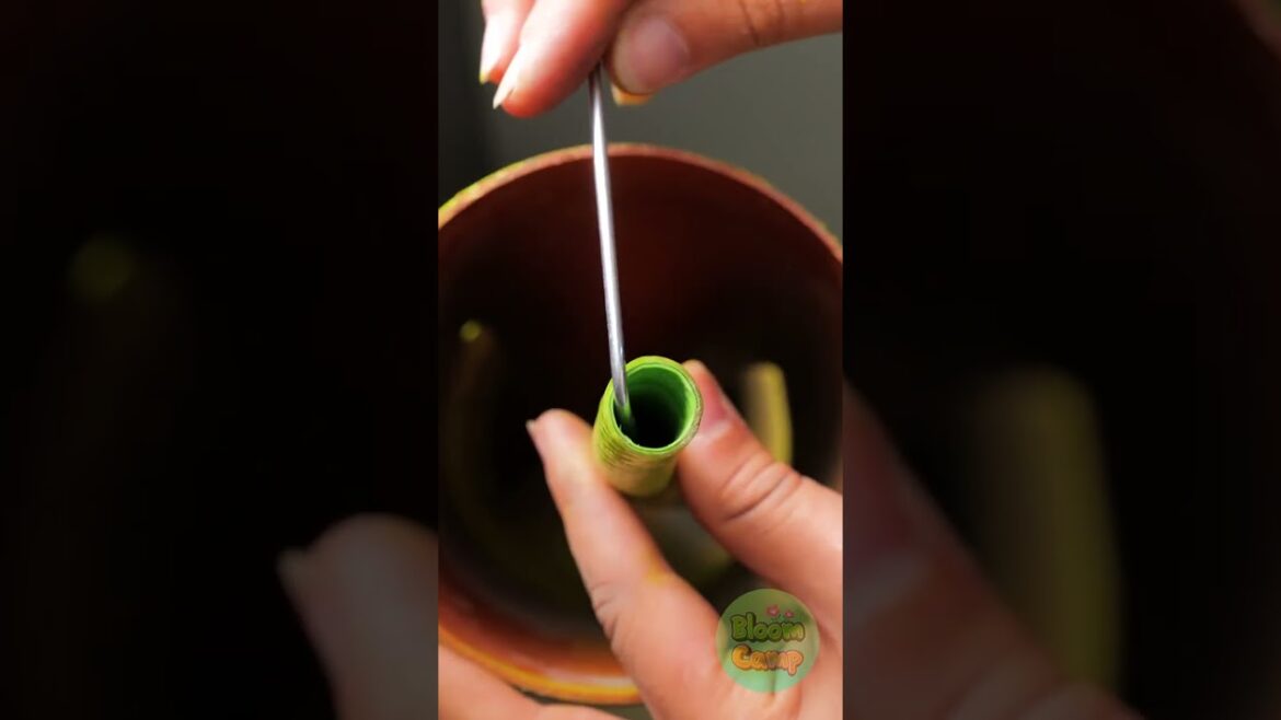 Smart Ways to Reuse Plastic Pipes for Vertical Landscaping!