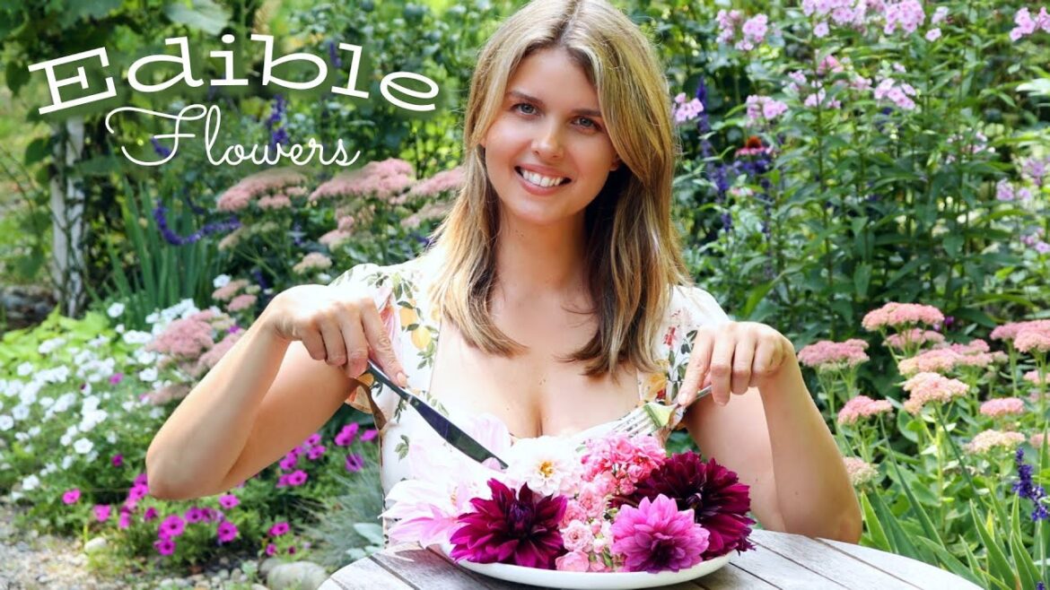Edible Flowers for Beginners | My Favorite Beautiful & Delicious Flowers & How to Use Them!