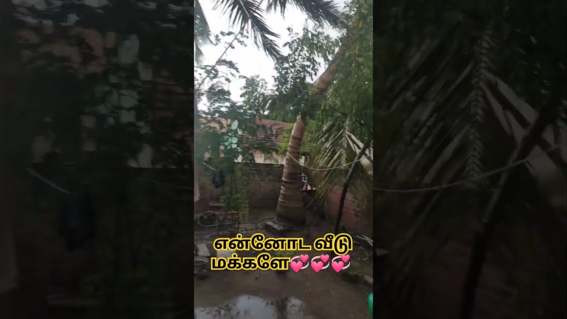 என்னோட வீடு மக்களே💞💞💞 என்னோட வீடு மக்களே💞💞💞