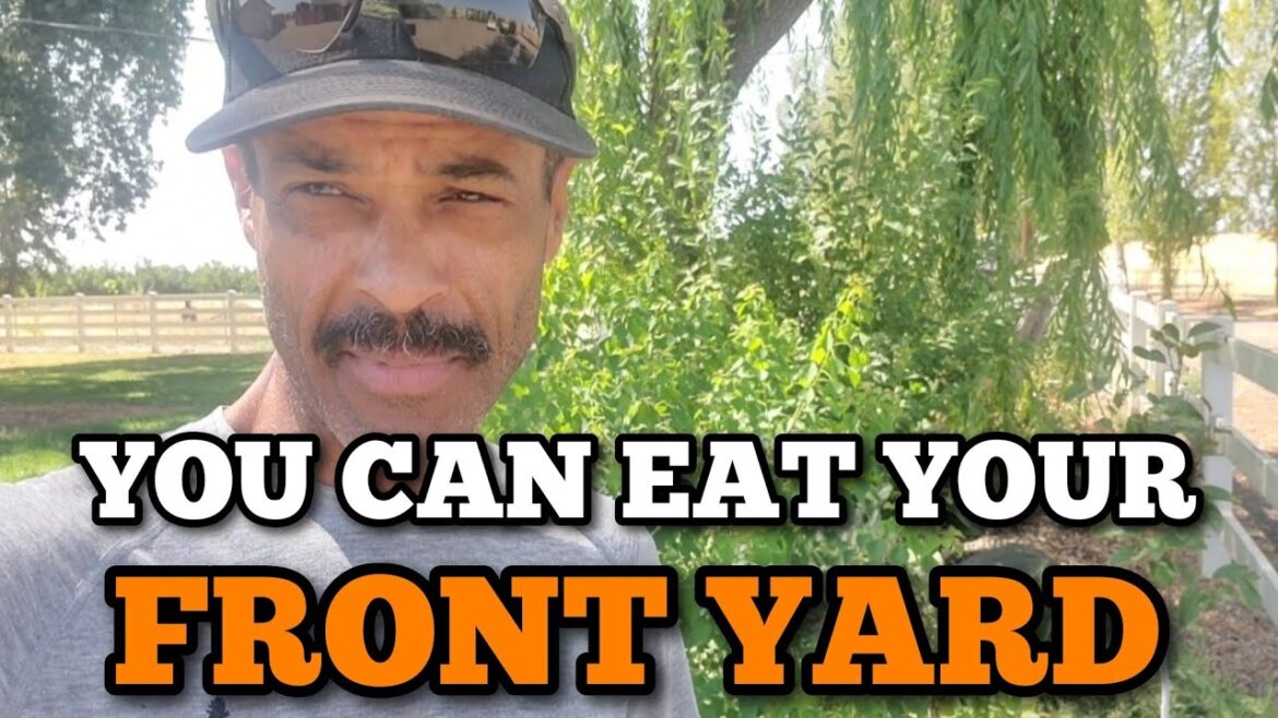 Permaculture ZONE ONE DESIGN: Edible and Medicinal