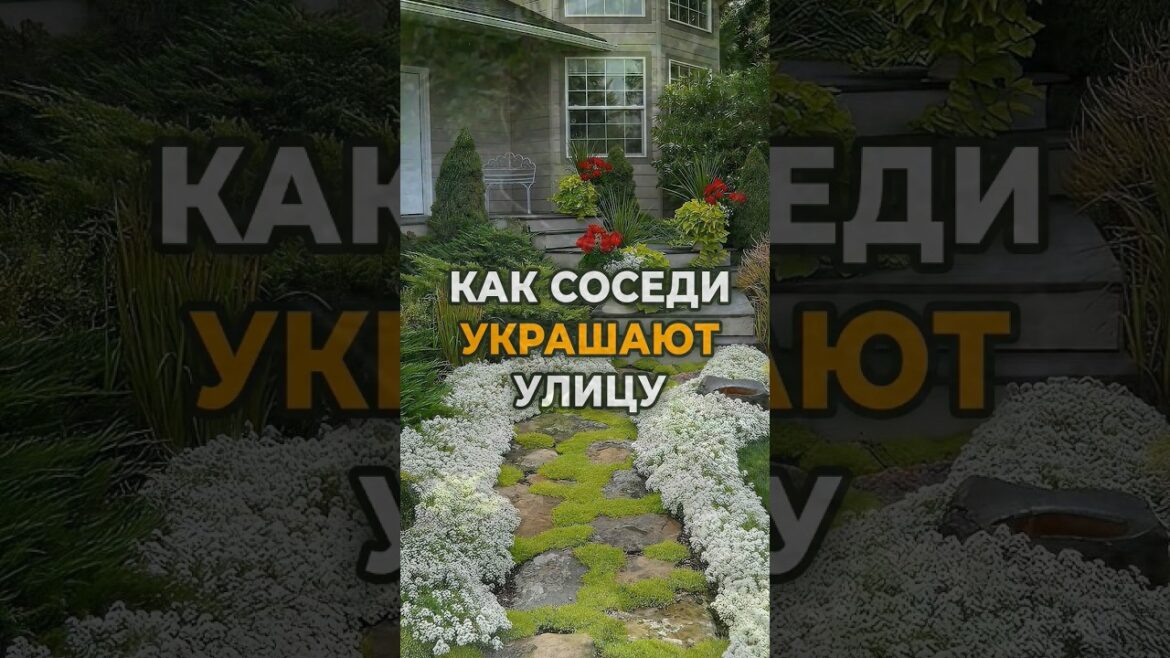 Клумбы. КРАСИВО ПЕРЕД ДОМОМ. Как соседи украшают улицу #дача #клумбы #дом