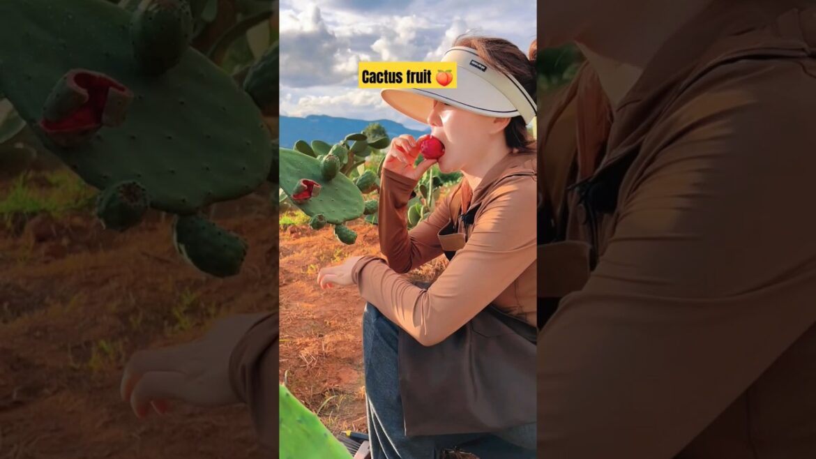 tasting cactus 🌵fruit  eat and enjoy cactus fruit #shorts #shortsviral #foodlover #fruit