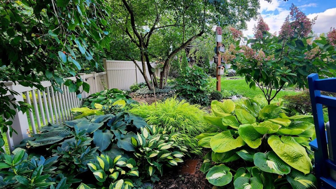 Early September Walkabout & Garden Tour ~ What’s Good & What’s Next ๐๐งก๐ Early September Walkabout & Garden Tour ~ What's Good & What's Next ๐๐งก๐