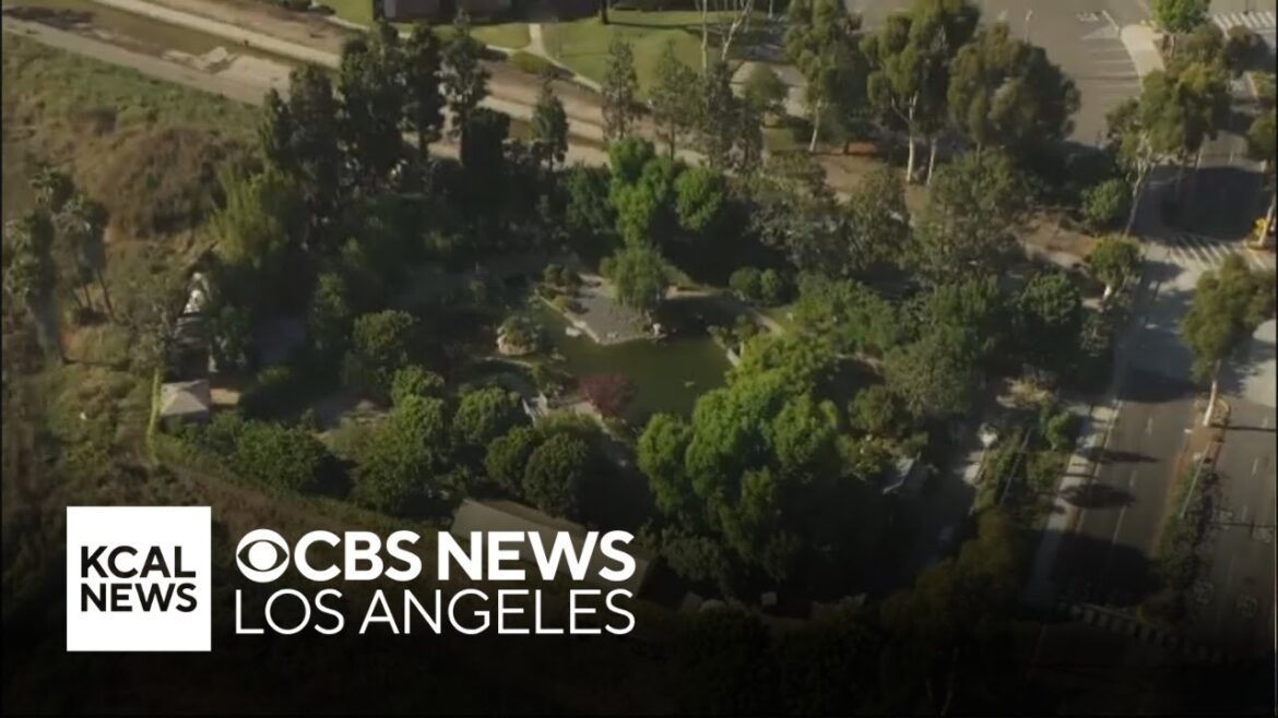 Earl Burns Miller Japanese Garden | Look At This!