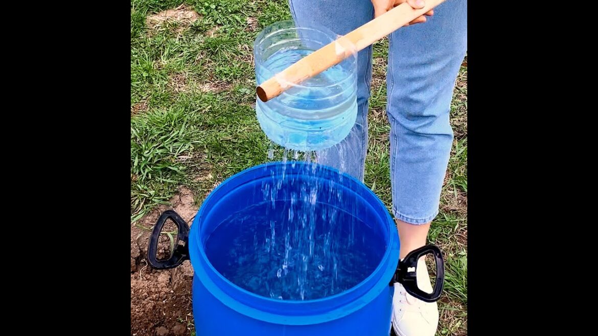 Gardening Hacks You’ll Want To Know