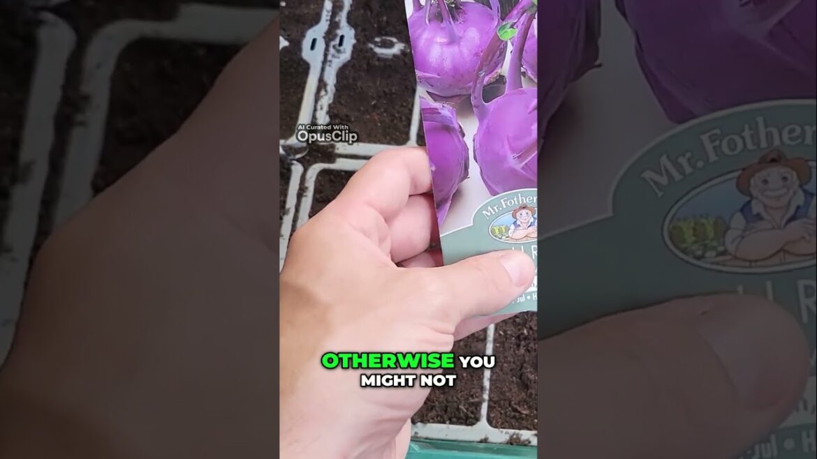 Maximizing Success in Gardening: Follow the Planting Schedule #gardeningtips