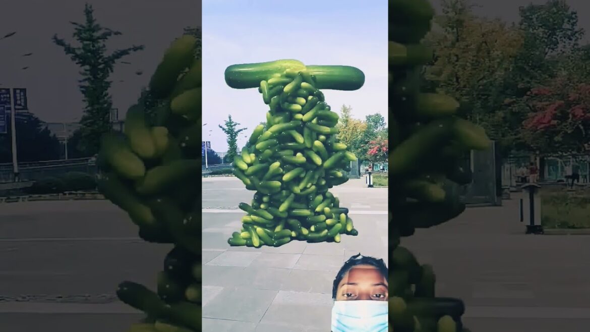 vegetable touch video #shorts #vegitables agriculture epic vegetable touch video #shorts #vegitables agriculture epic