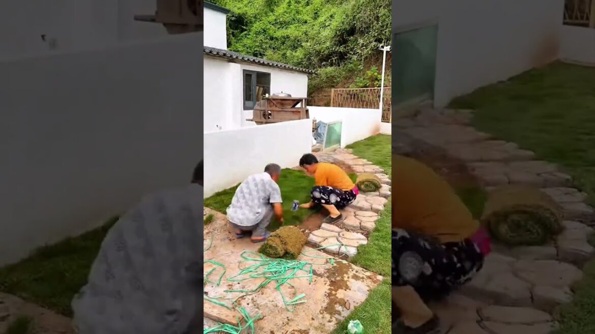 Creating a Flower-Filled Garden for a More Colorful Life FlowerGarden 2 #GardeningTips #yardcleanup Creating a Flower-Filled Garden for a More Colorful Life FlowerGarden 2 #GardeningTips #yardcleanup