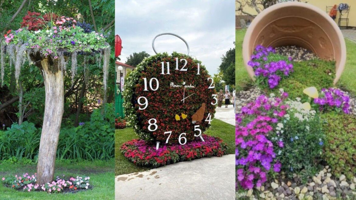 Gardening ideas for home/home Gardening Ideas/gardening ideas🏕️ #video #garden #viral #trending Gardening ideas for home/home Gardening Ideas/gardening ideas🏕️ #video #garden #viral #trending