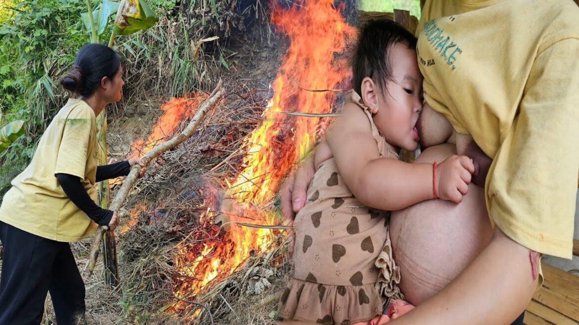 Harvesting Beans – Gardening on the Farm – Life While Pregnant Harvesting Beans - Gardening on the Farm - Life While Pregnant